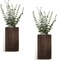 Wood Wall Decor 2 Pack Planter Vase with Artificial Eucalyptus (5.1"D x 1.4"W x 9.4"H)